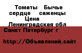 Томаты  (Бычье  сердце ) -саженцы › Цена ­ 30 - Ленинградская обл., Санкт-Петербург г.  »    